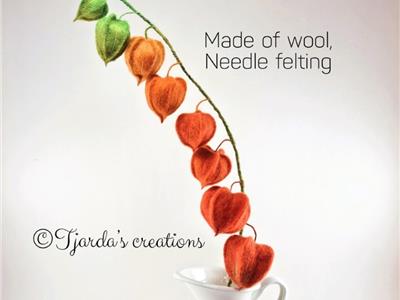 Tjarda's creatie